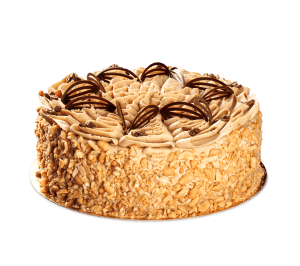Coffee-nut cake